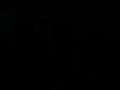 Tn DSC 4734